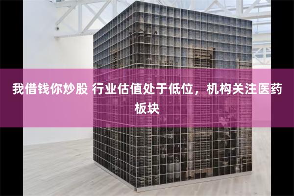 我借钱你炒股 行业估值处于低位，机构关注医药板块