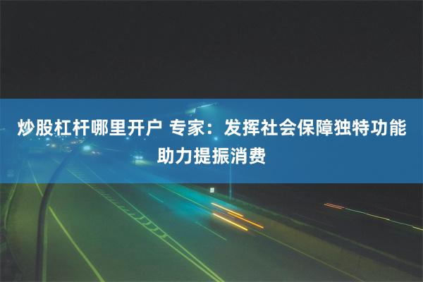 炒股杠杆哪里开户 专家：发挥社会保障独特功能助力提振消费