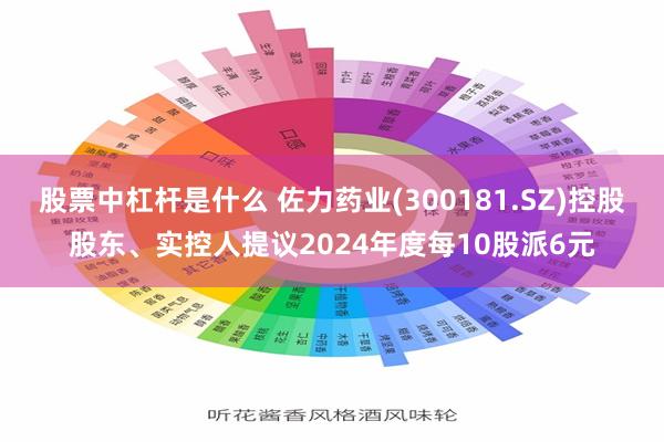 股票中杠杆是什么 佐力药业(300181.SZ)控股股东、实控人提议2024年度每10股派6元