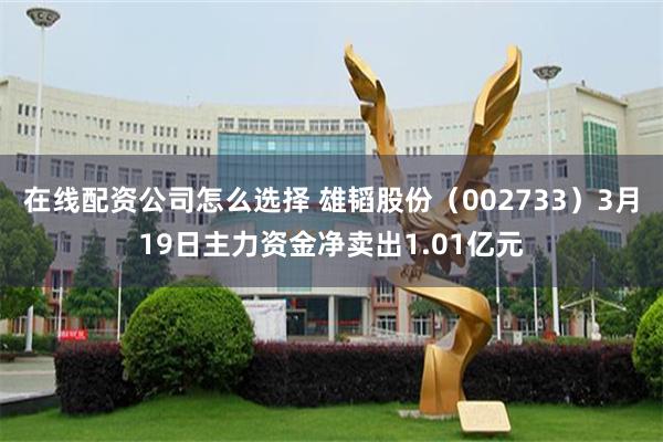 在线配资公司怎么选择 雄韬股份（002733）3月19日主力资金净卖出1.01亿元