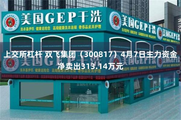 上交所杠杆 双飞集团（300817）4月7日主力资金净卖出313.14万元