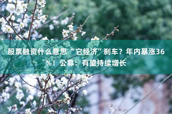 股票融资什么意思 “它经济”刹车？年内暴涨36%！公募：有望持续增长