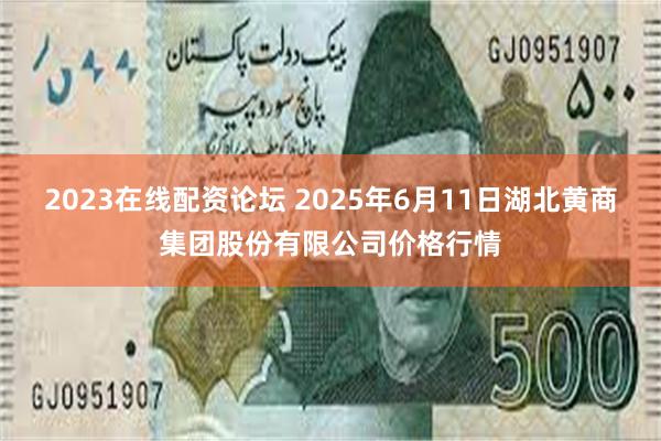 2023在线配资论坛 2025年6月11日湖北黄商集团股份有限公司价格行情