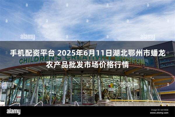 手机配资平台 2025年6月11日湖北鄂州市蟠龙农产品批发市场价格行情