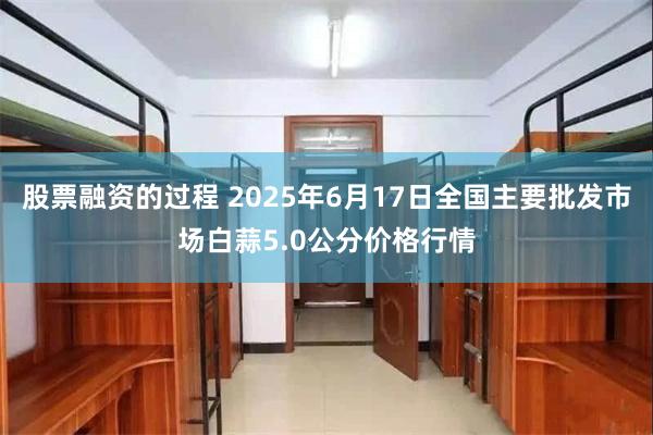 股票融资的过程 2025年6月17日全国主要批发市场白蒜5.0公分价格行情