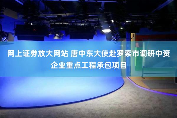 网上证劵放大网站 唐中东大使赴罗索市调研中资企业重点工程承包项目