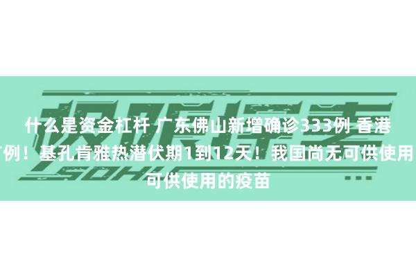 什么是资金杠杆 广东佛山新增确诊333例 香港发现首例！基孔肯雅热潜伏期1到12天！我国尚无可供使用的疫苗