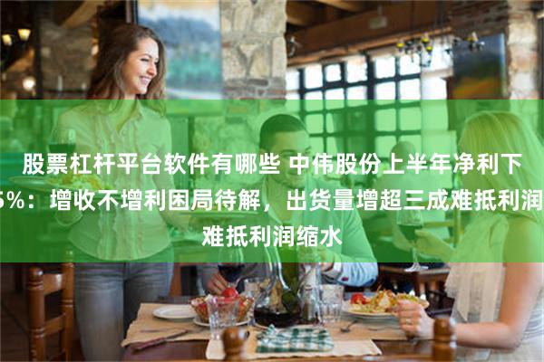股票杠杆平台软件有哪些 中伟股份上半年净利下滑15%：增收不增利困局待解，出货量增超三成难抵利润缩水