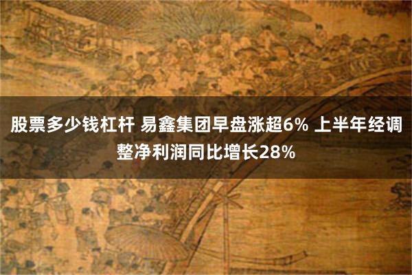 股票多少钱杠杆 易鑫集团早盘涨超6% 上半年经调整净利润同比增长28%
