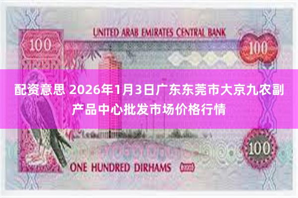 配资意思 2026年1月3日广东东莞市大京九农副产品中心批发市场价格行情
